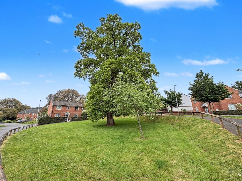 Images for Gale Way, Tiverton, EX16