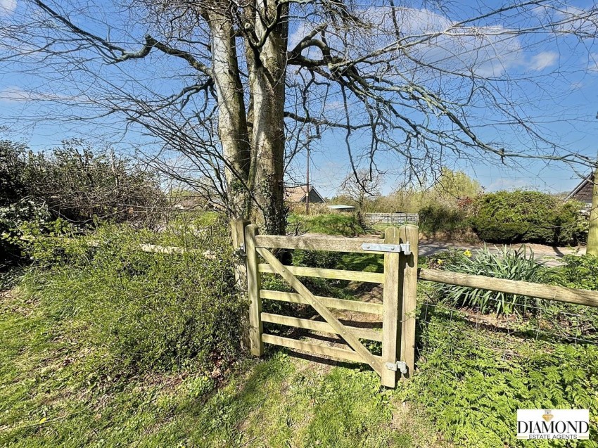 Images for Nomansland, Tiverton