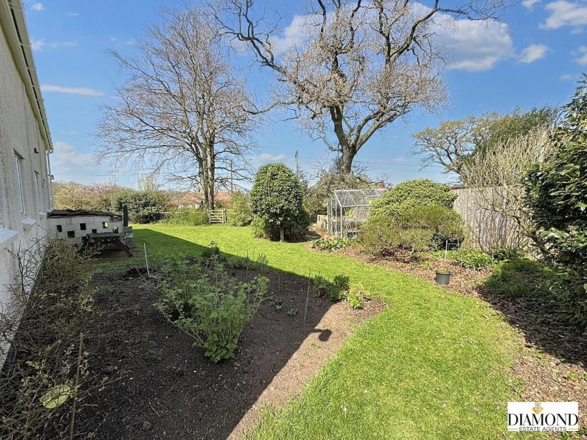 Images for Nomansland, Tiverton