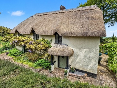 View Full Details for Puddington, Tiverton, EX16