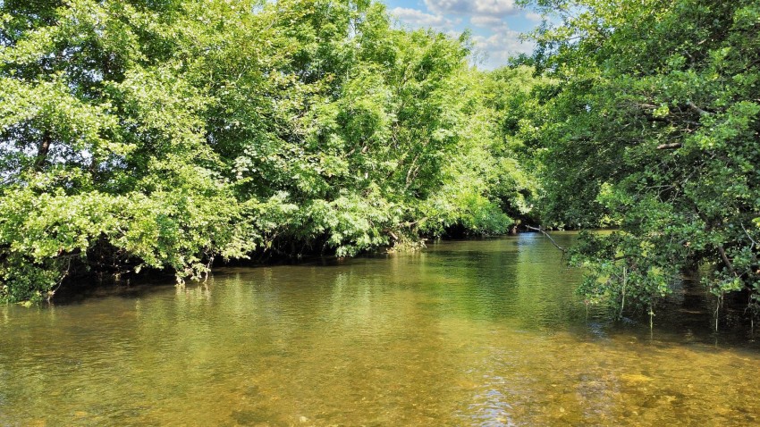 Images for Exebridge, Dulverton, TA22